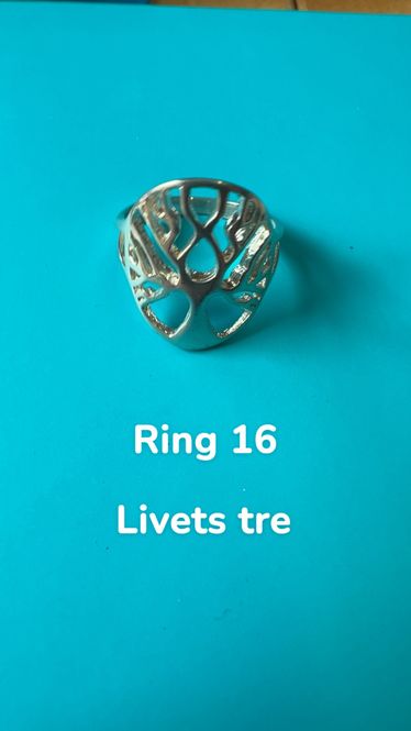 Hovedbilde Ring 16 Livetstre 